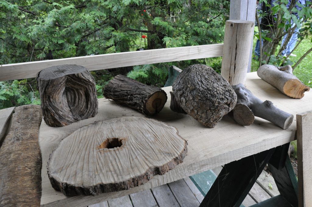 Interesting wood specimens from around the property